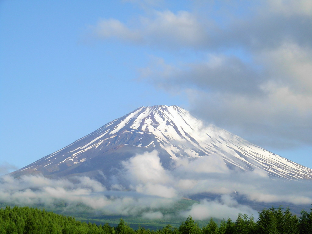 6/1 ����s����̕x�m�R