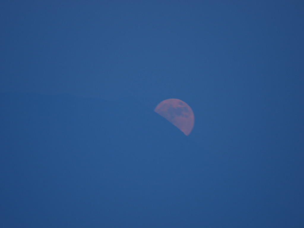 6/17 �\�O��̌��ƕx�m�R