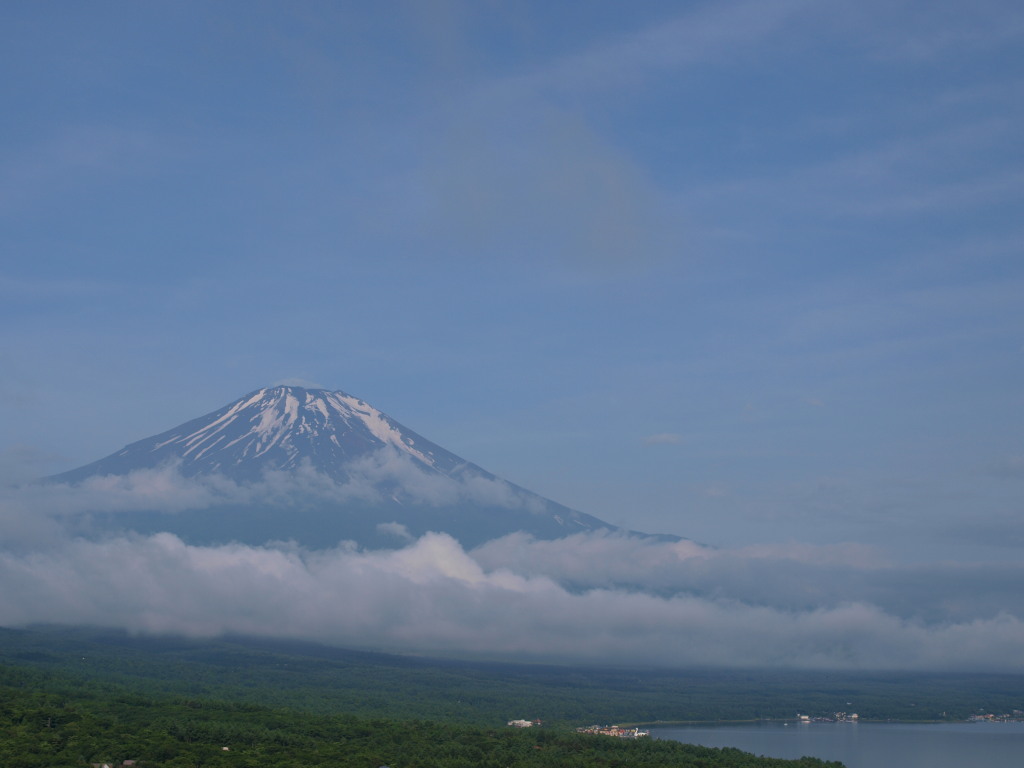 6/7 �~�J�̍��Ԃ̕x�m�R