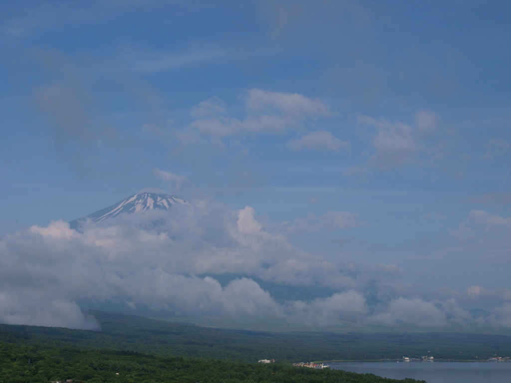 6/27 �_�̒��ɏ�����x�m�R