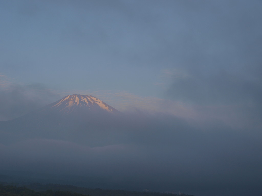 6/28 ���Ă��̕x�m�R