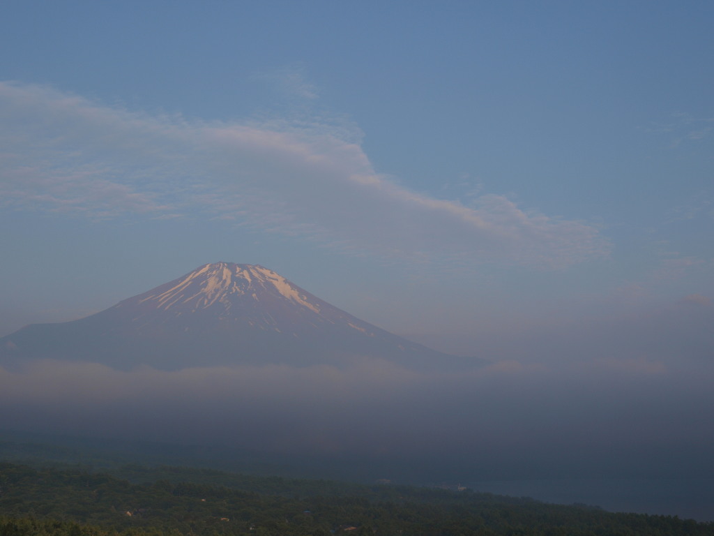 6/28 �ق�̂�F�Â����x�m�R