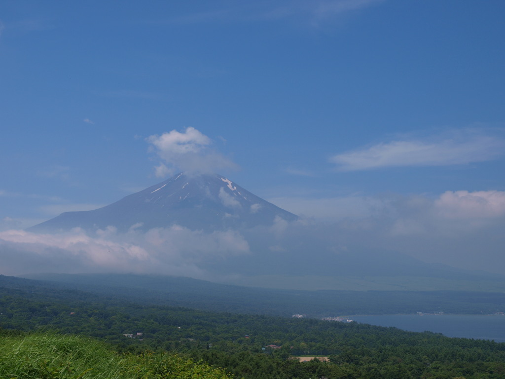 7/17 �_�C�ƕx�m�R