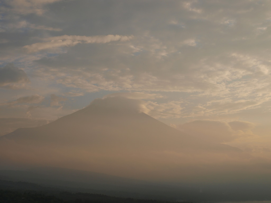 7/18 �[�Ă��ƕx�m�R