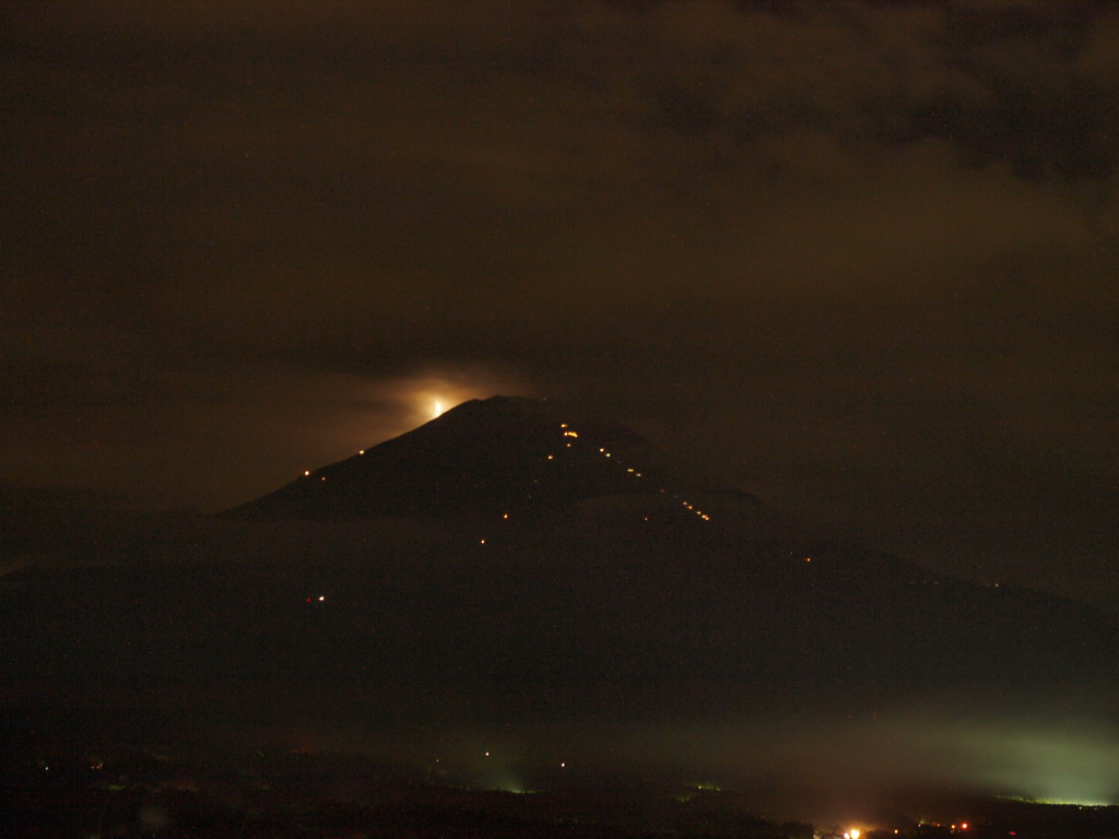 8/6 �x�m�R�̍����ɒ��ނ��ڂ댎