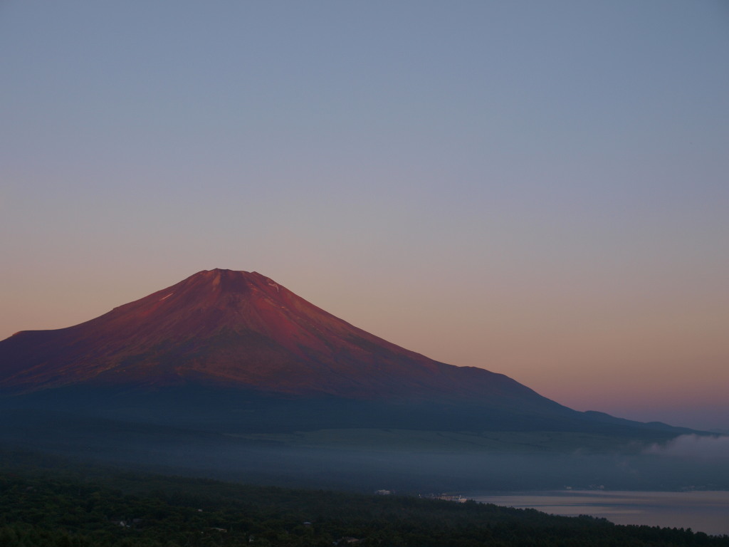 8/7 ���Ă��̕x�m�R