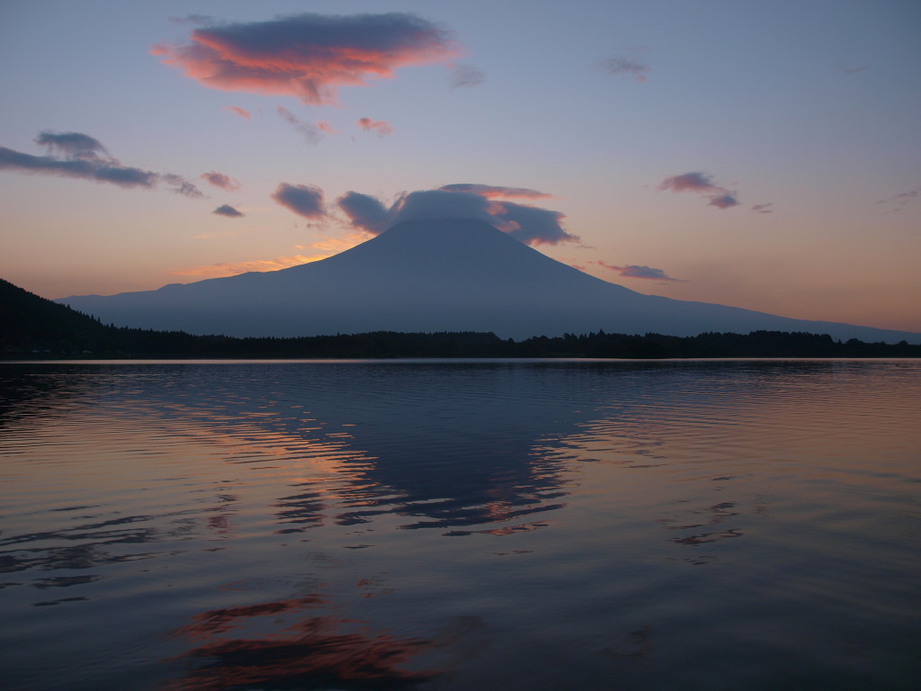 8/21 ���̏o�ƕx�m�R