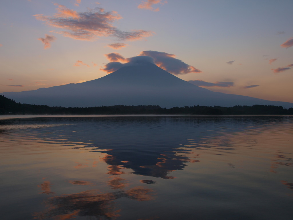 8/21 ���Ă��ƕx�m�R