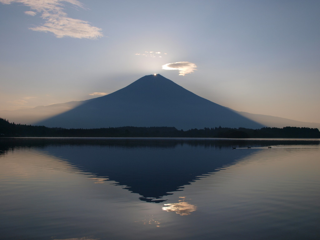 8/21 �_�C�������h�x�m