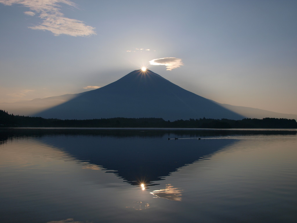 8/21 �_�C�������h�x�m(2)