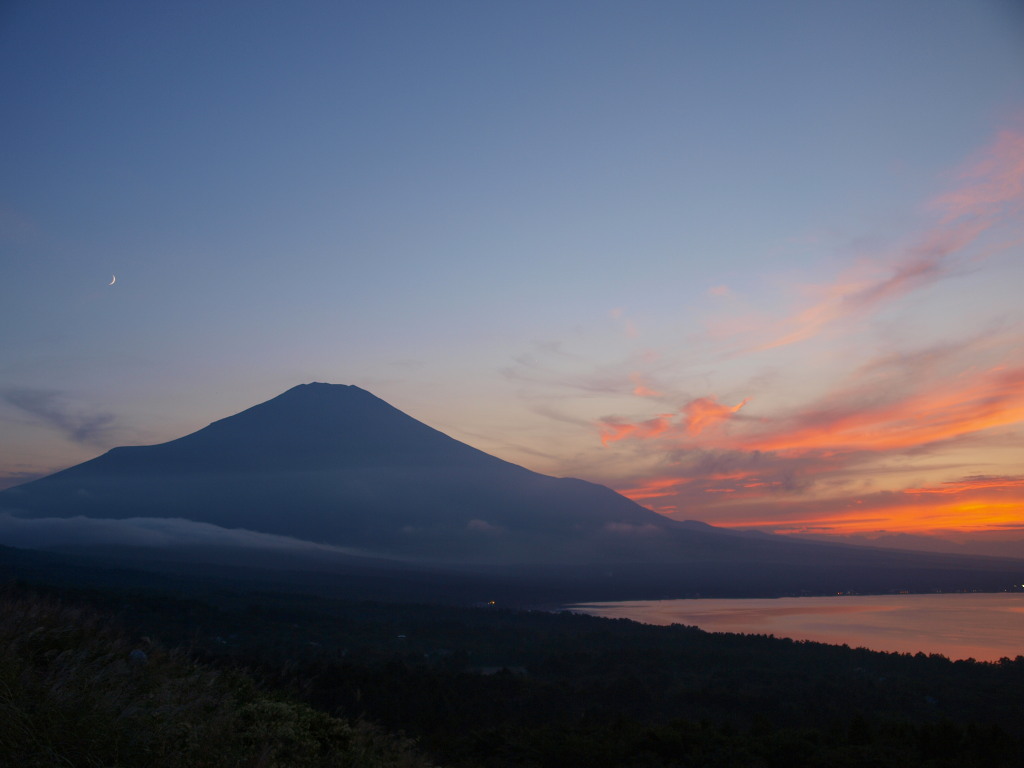 9/3 �x�m�R�Ɨ[�Ă�(2)