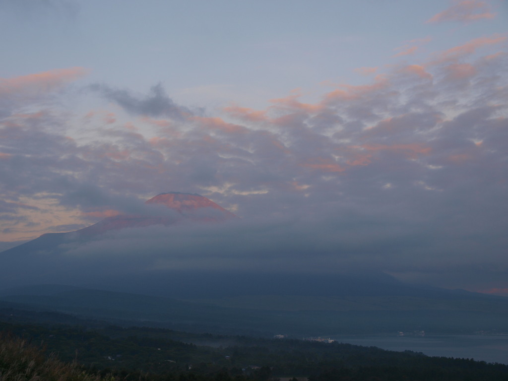 9/4 �x�m�R�����Ԃ��Ȃ�