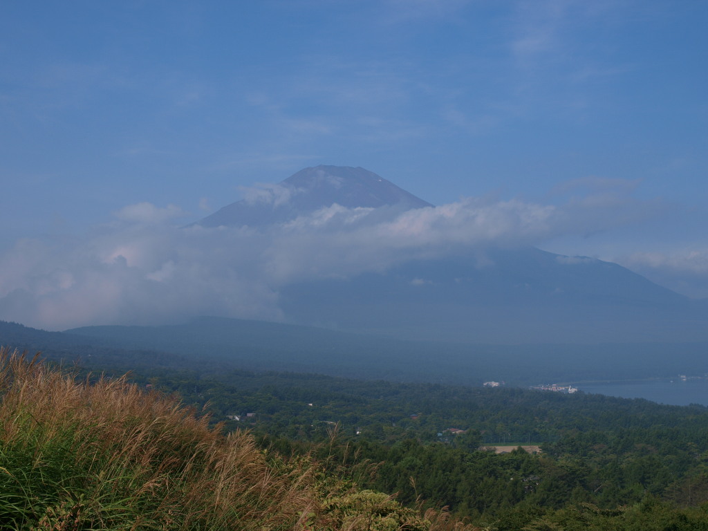 9/5 �X�X�L�ƕx�m�R