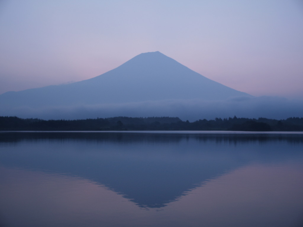 9/7 �c�ь΂���̒��Ă�