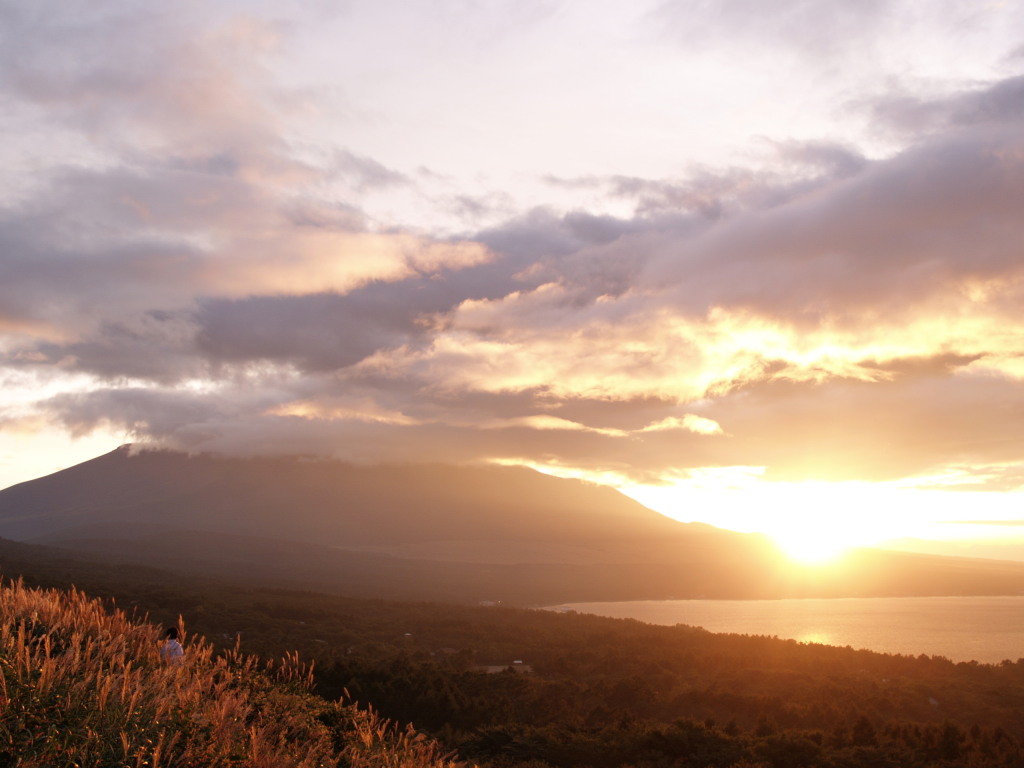 9/11 �R���΂���̗[�Ă��ƕx�m�R