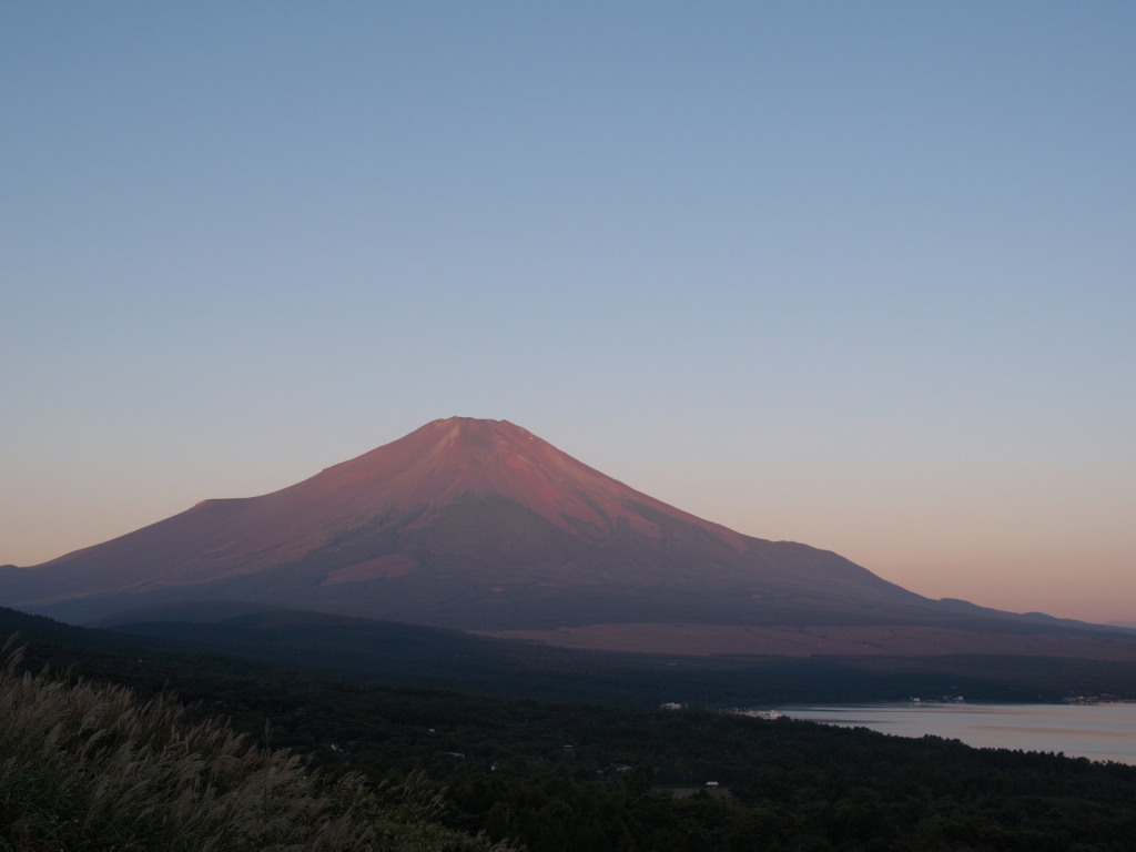 9/12 �R���΂���̒��Ă��ƕx�m�R