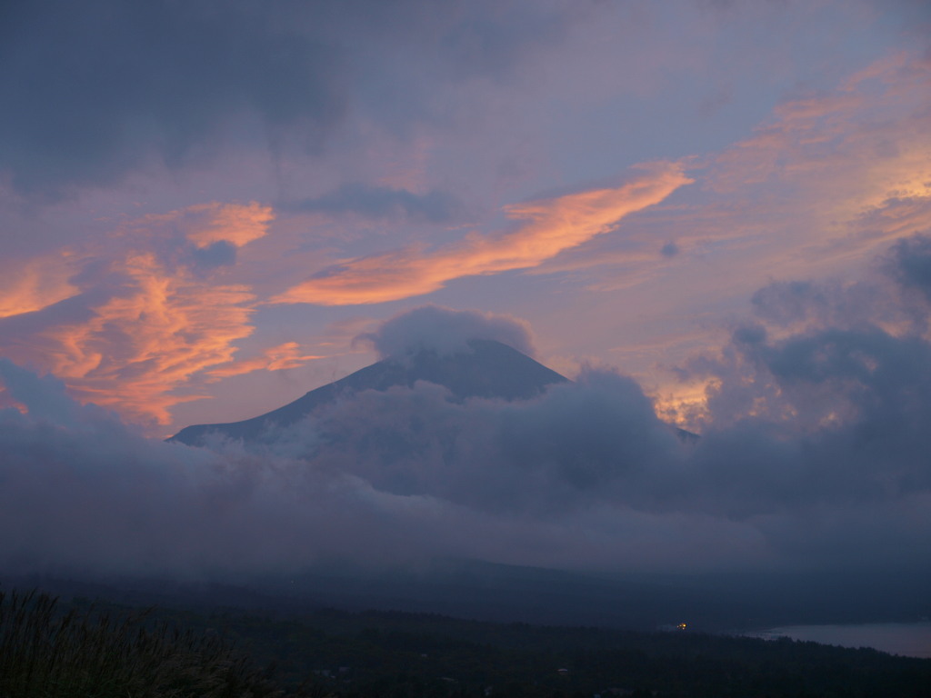 9/26 �_�̒��̕x�m�R�Ɨ[�Ă�