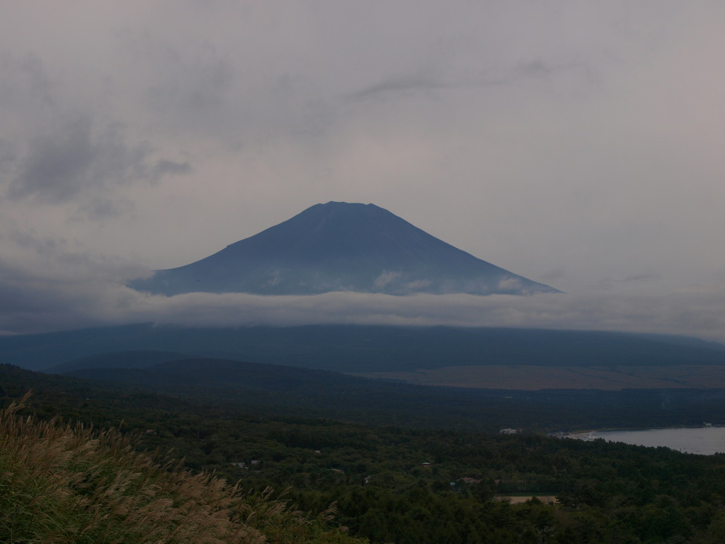 9/28 �悤�₭�������x�m�R