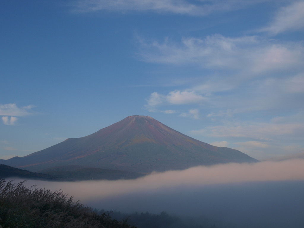 10/10 �_�C�ƕx�m�R