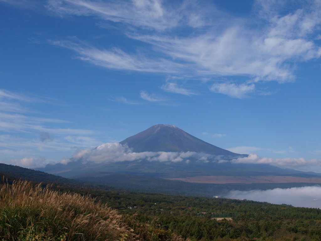 10/10 �_�ƃX�X�L�ƕx�m�R