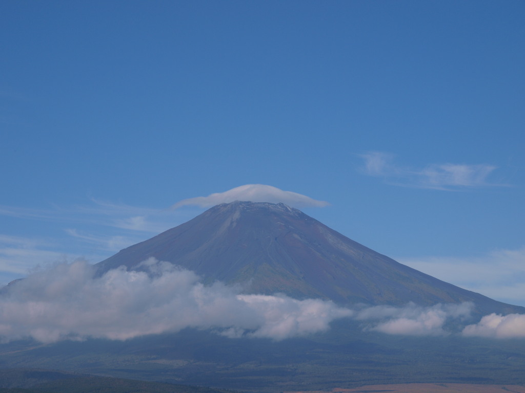 10/10 �����_�ƕx�m�R