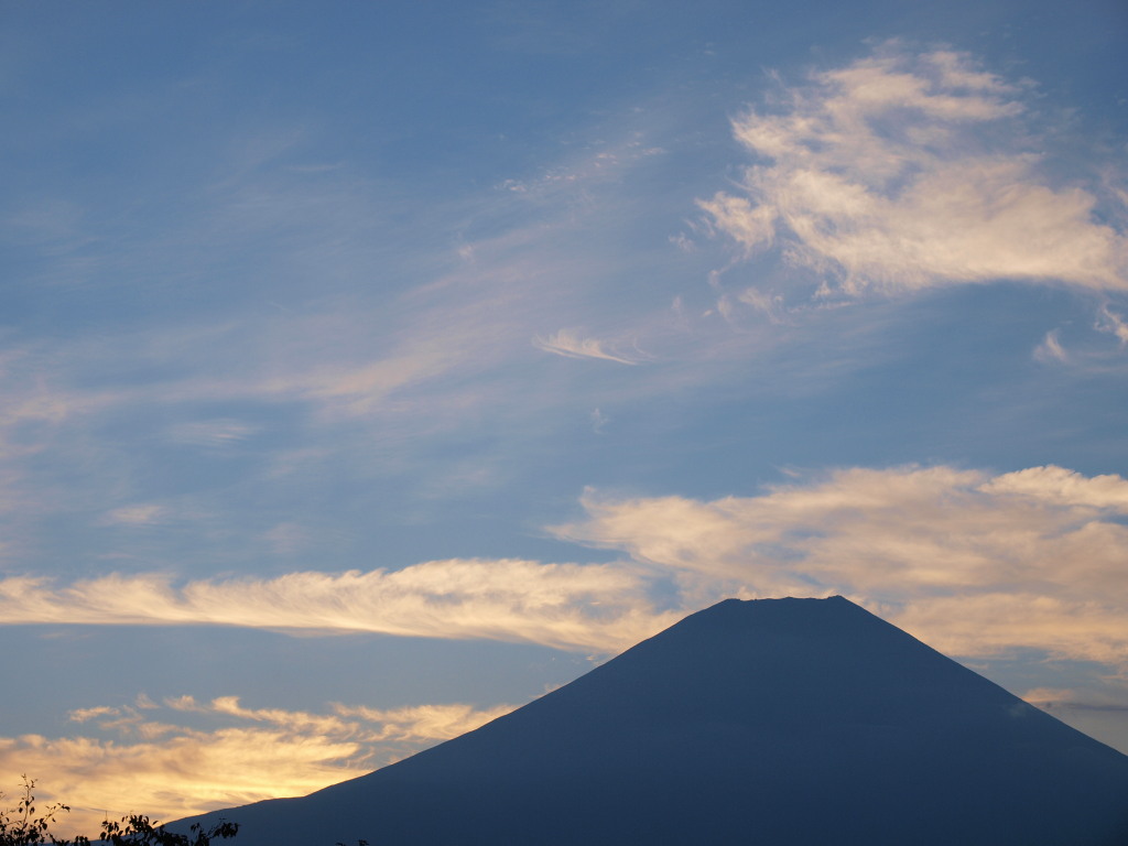 10/14 ������������̒��Ă��̕x�m�R