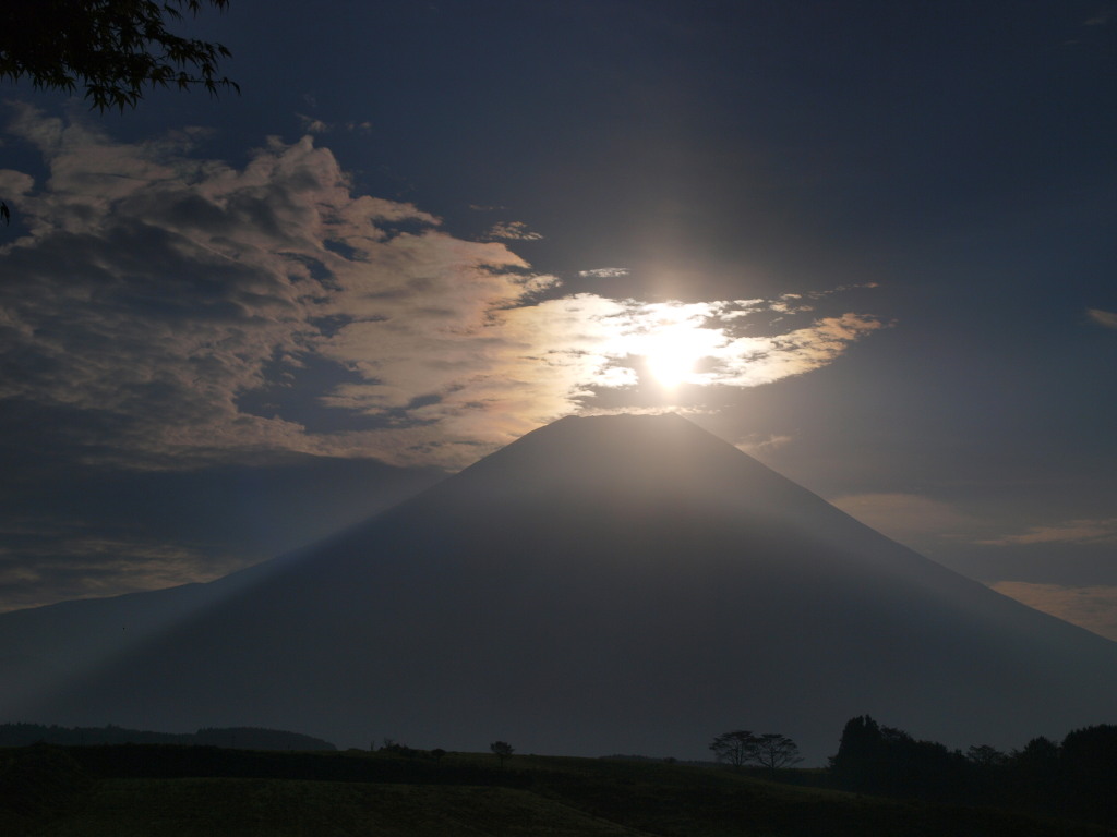 10/14 �_�̒��̃_�C�������h�x�m