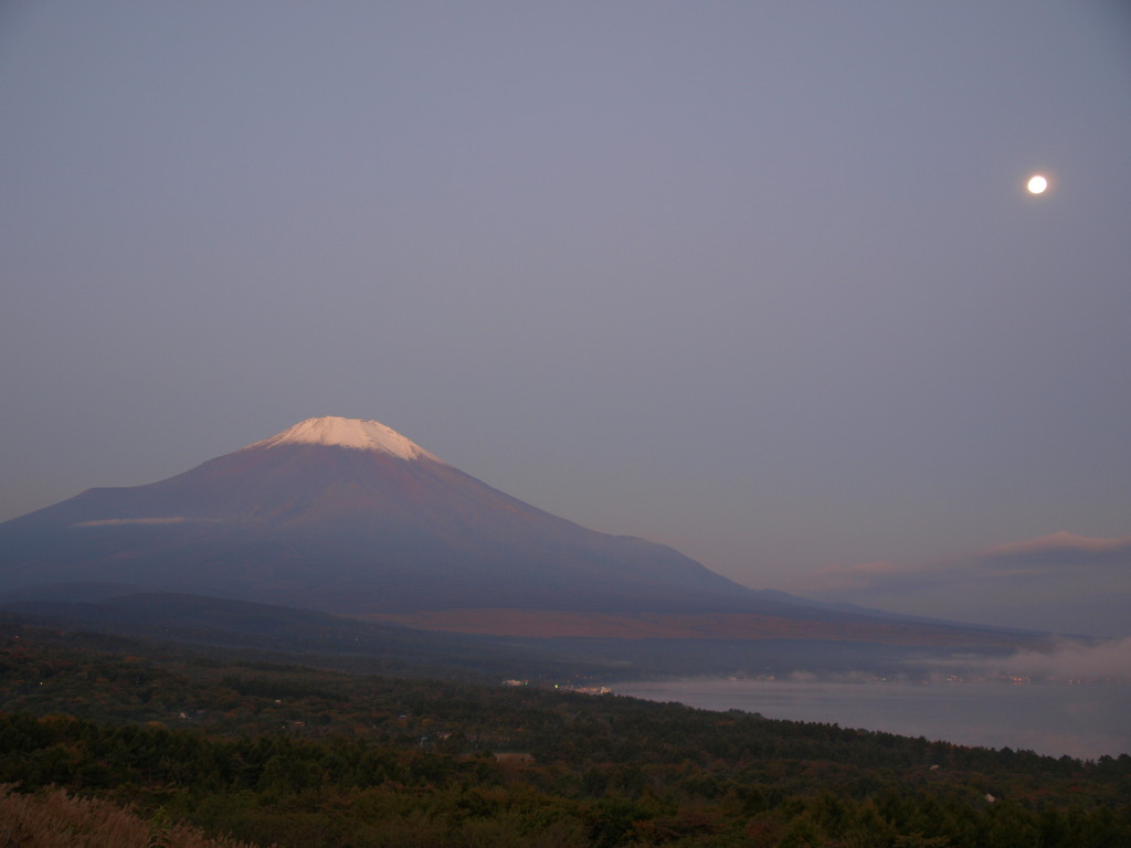 10/16 �����ƕx�m�R