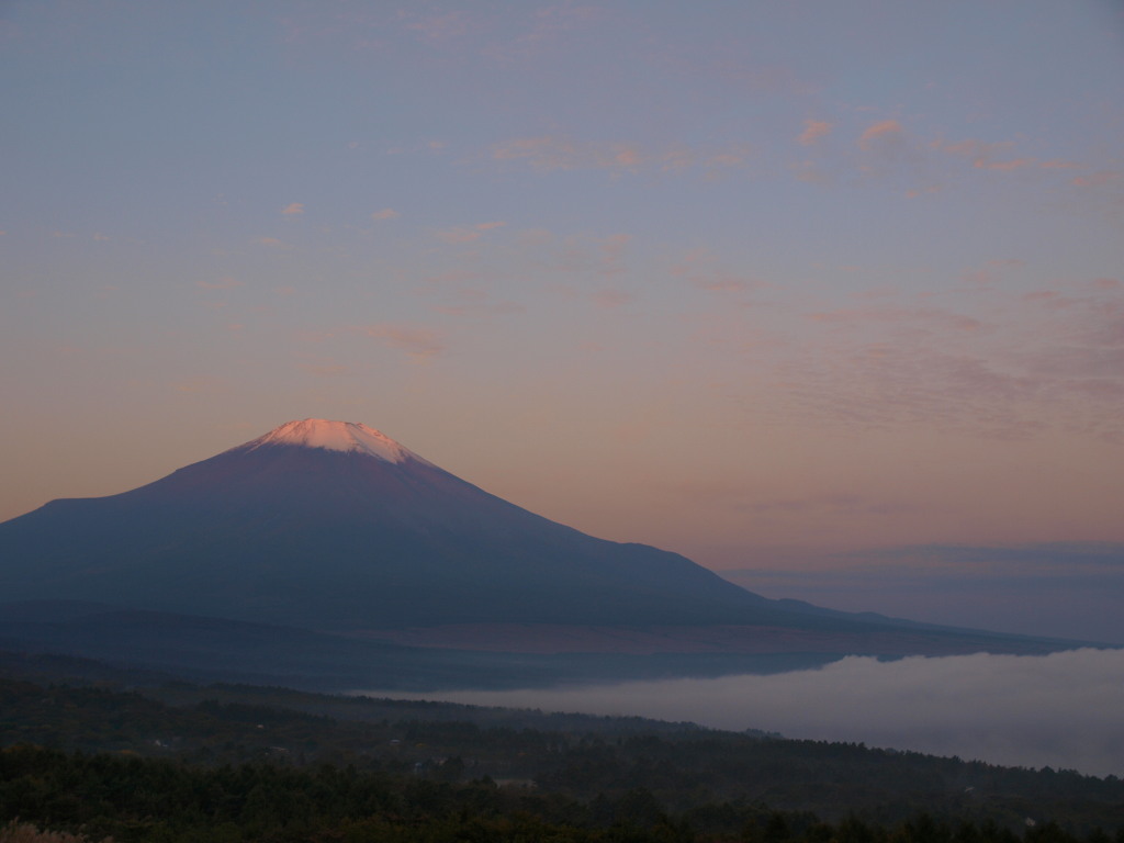 10/17 ���Ă��ƕx�m�R