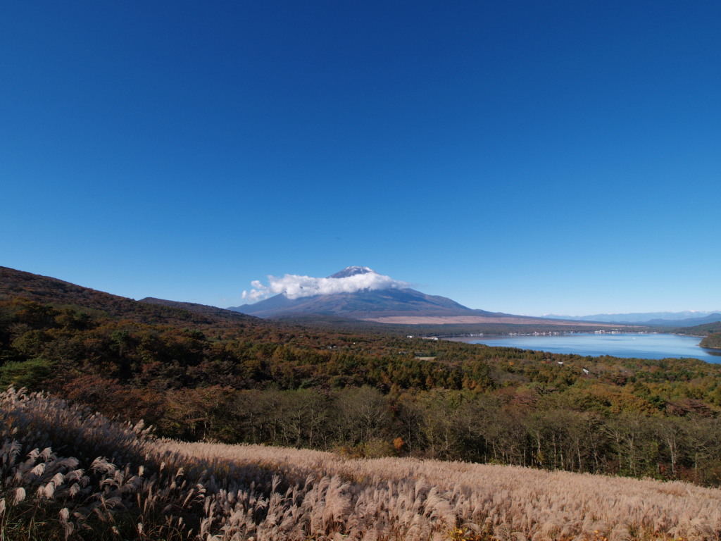 10/28 �X�X�L�ƕx�m�R(2)