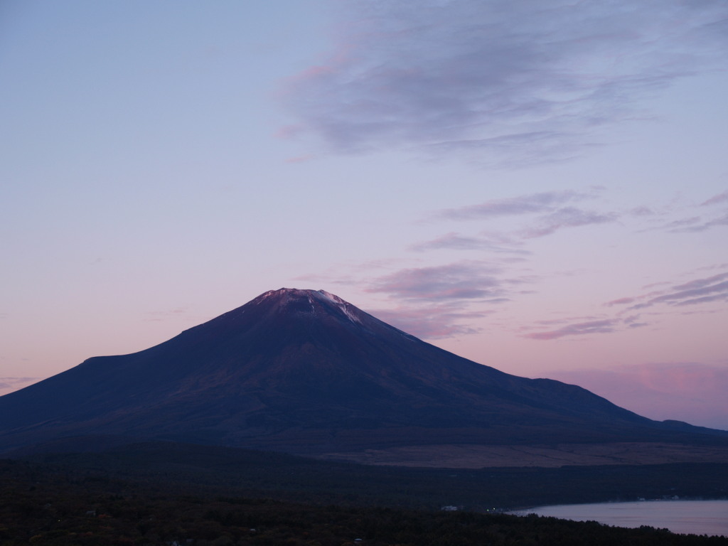 10/29 ���Ă��ƕx�m�R