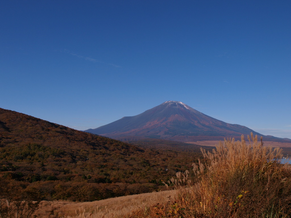 10/29 �X�X�L�ƕx�m�R