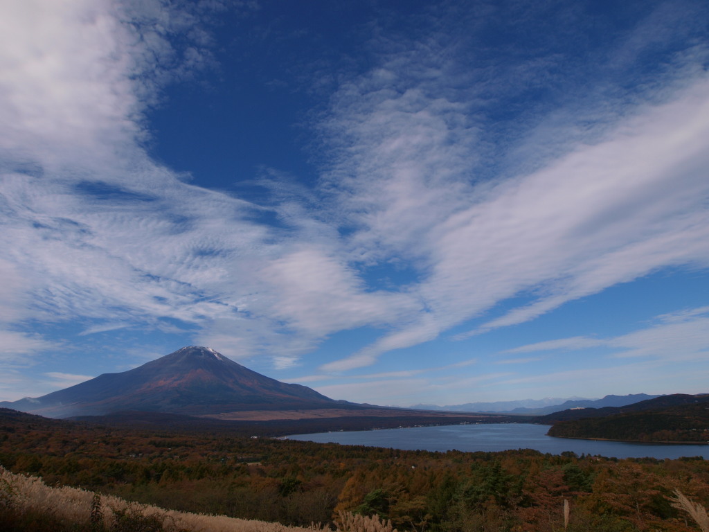 10/29 �_�ƕx�m�R