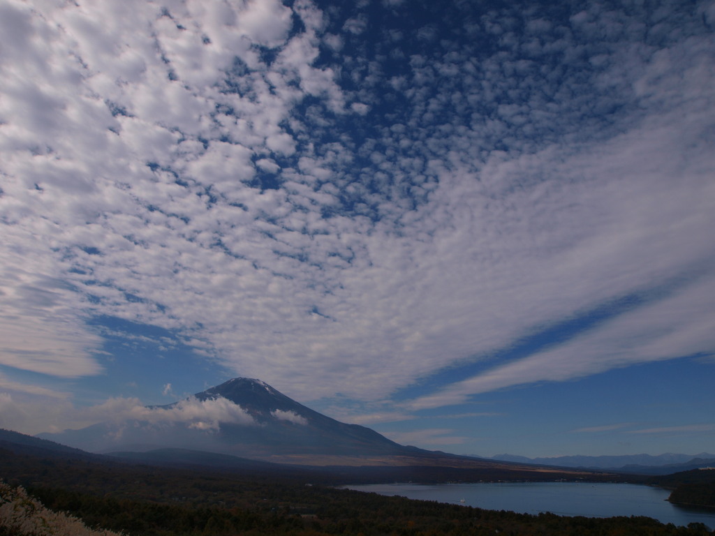 10/29 �_�ƕx�m�R(2)