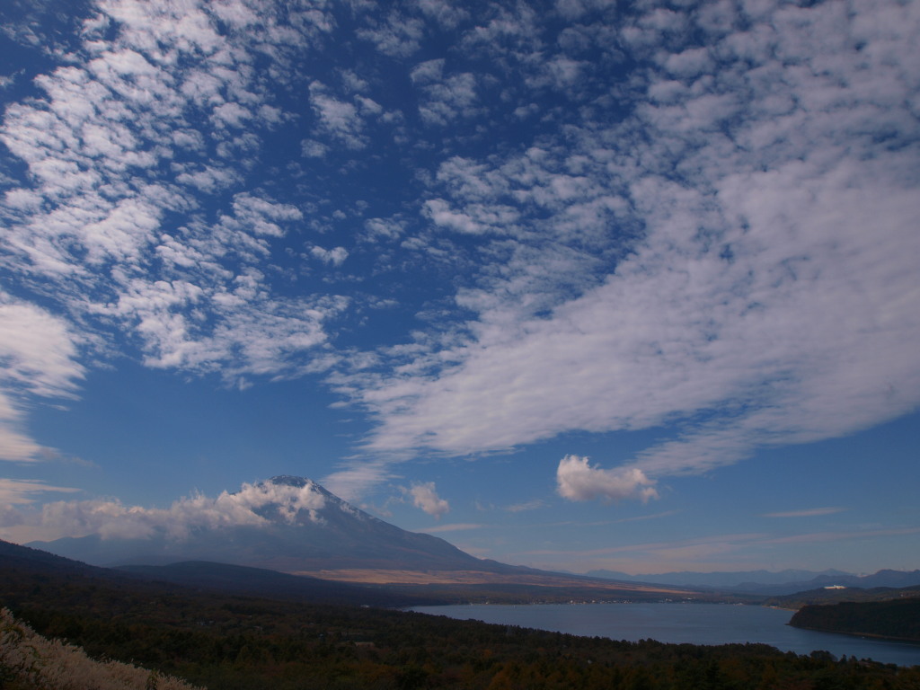 10/29 �_�ƕx�m�R(3)