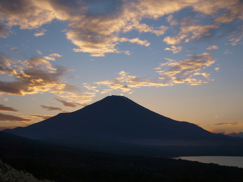 10/29 �[�Ă��ƕx�m�R