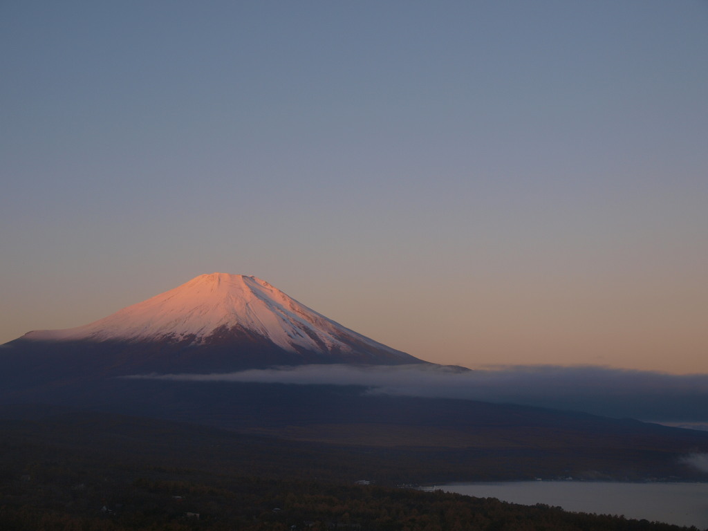 11/13 ���Ă��̕x�m�R