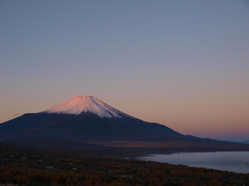 11/14 �_�C�ƒ��Ă��̕x�m�R