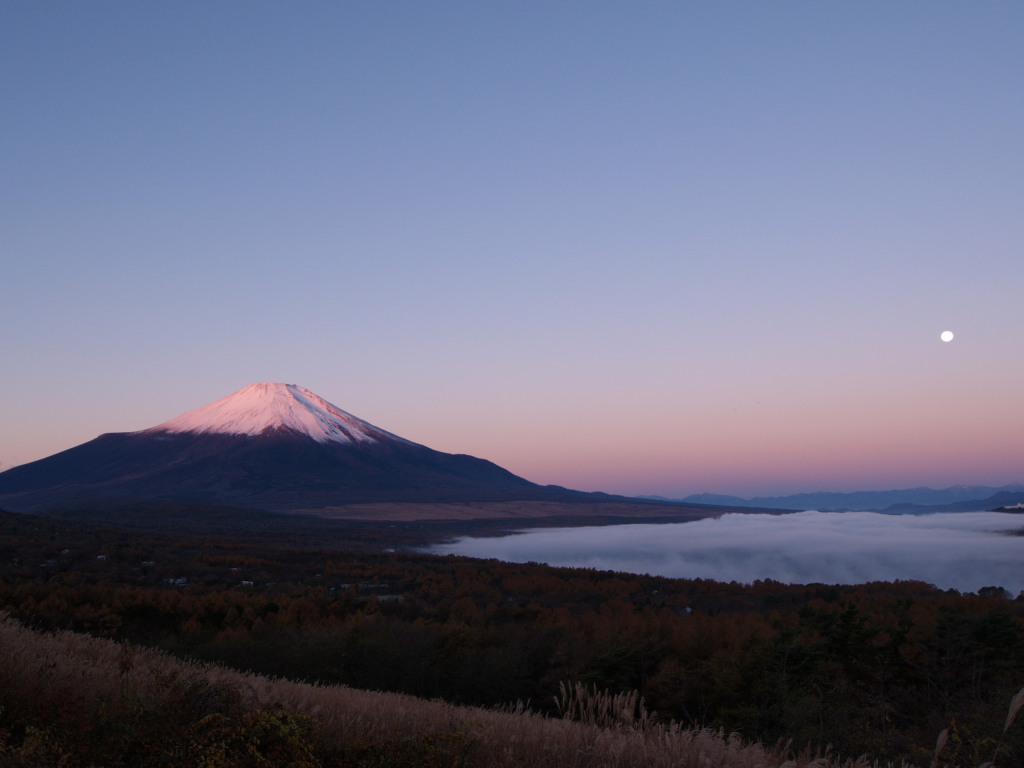 11/14 �����ƒ��Ă��̕x�m�R