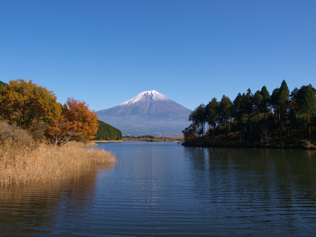 11/14 �c�ь΂���̕x�m�R