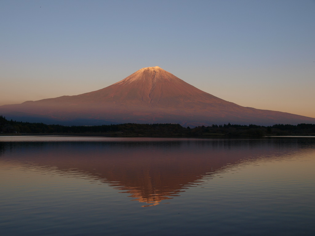 11/14 �c�ь΂���̗[�Ă��ƕx�m�R