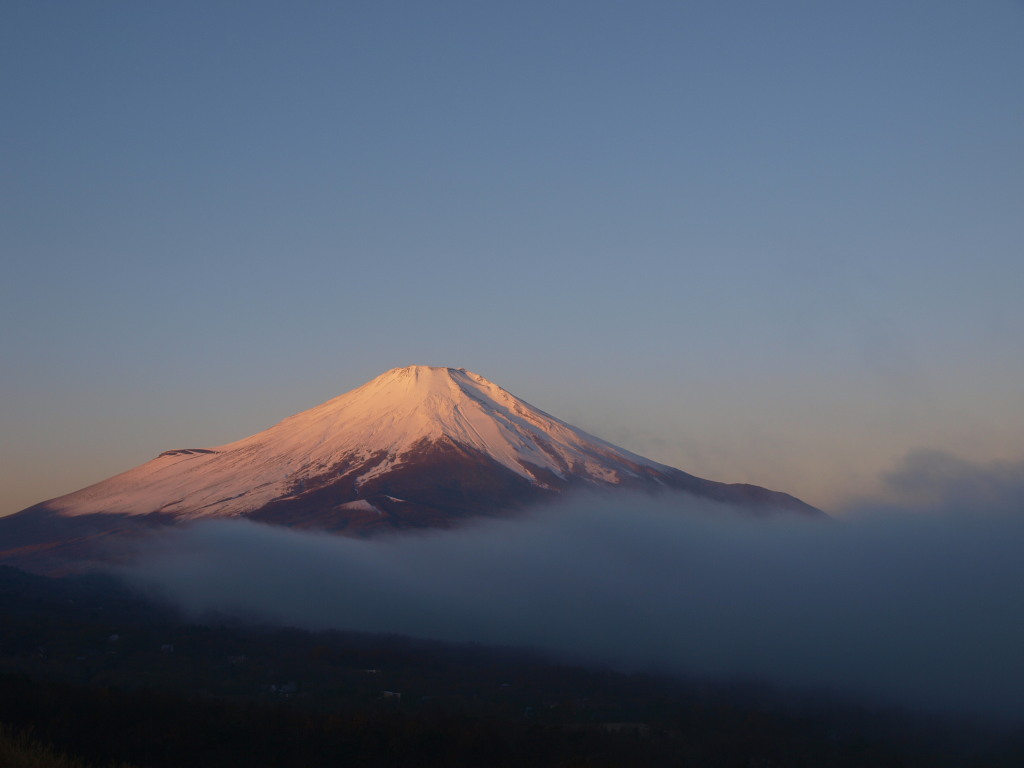 11/26 �R���΂���̐ቻ�ς����x�m�R