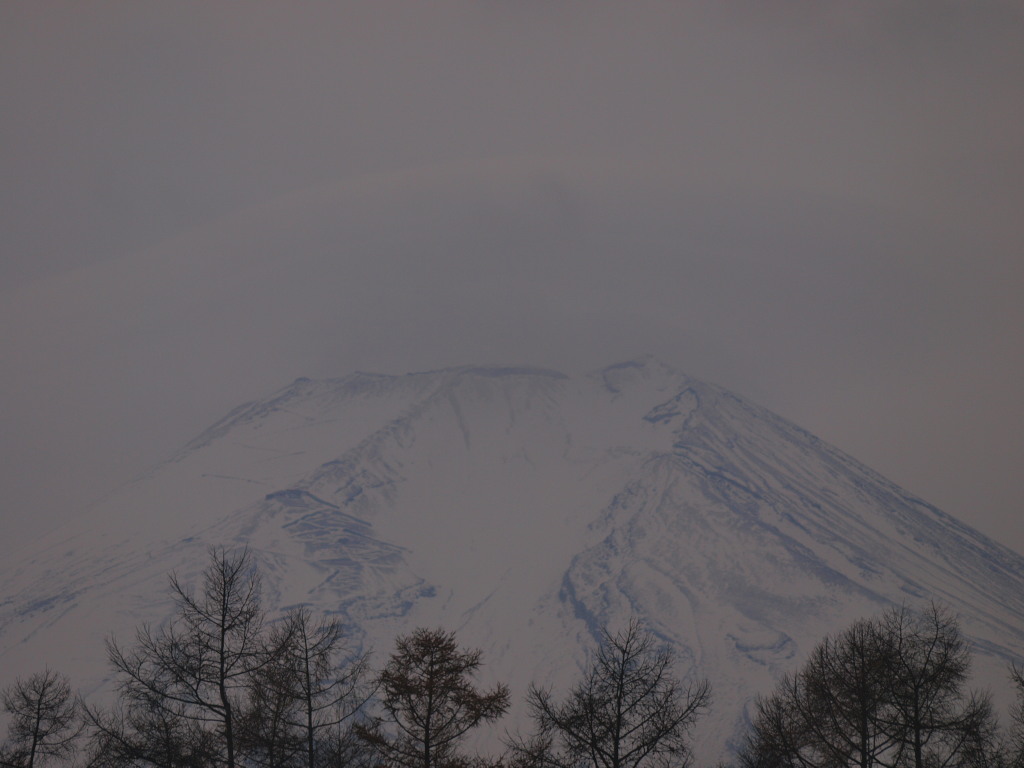 11/27 �g�c����̕x�m�R