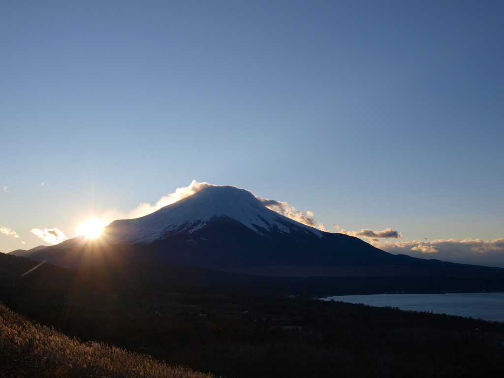 11/28 ���̓���ƕx�m�R