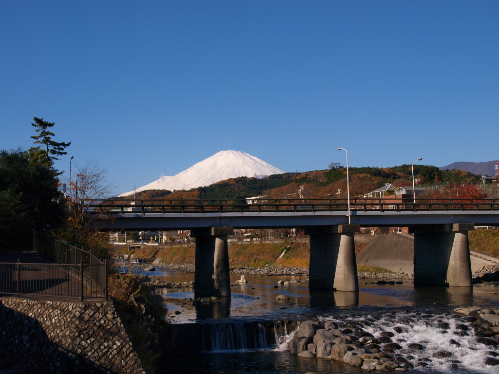 11/30 ���R����̕x�m�R