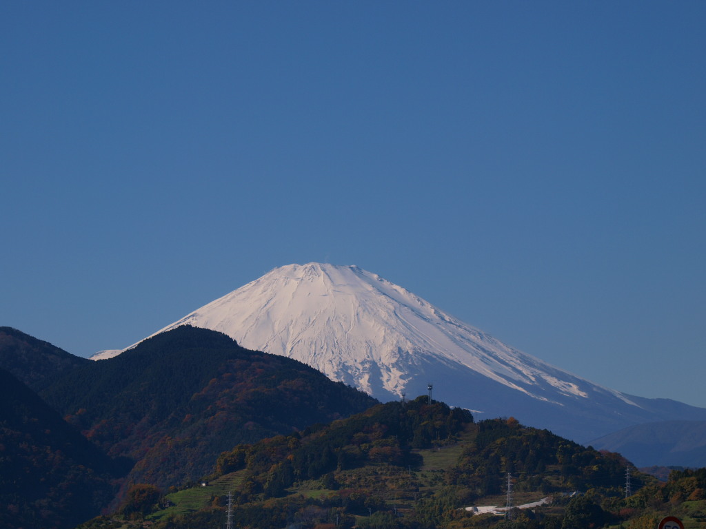 11/30 ���c����̕x�m�R