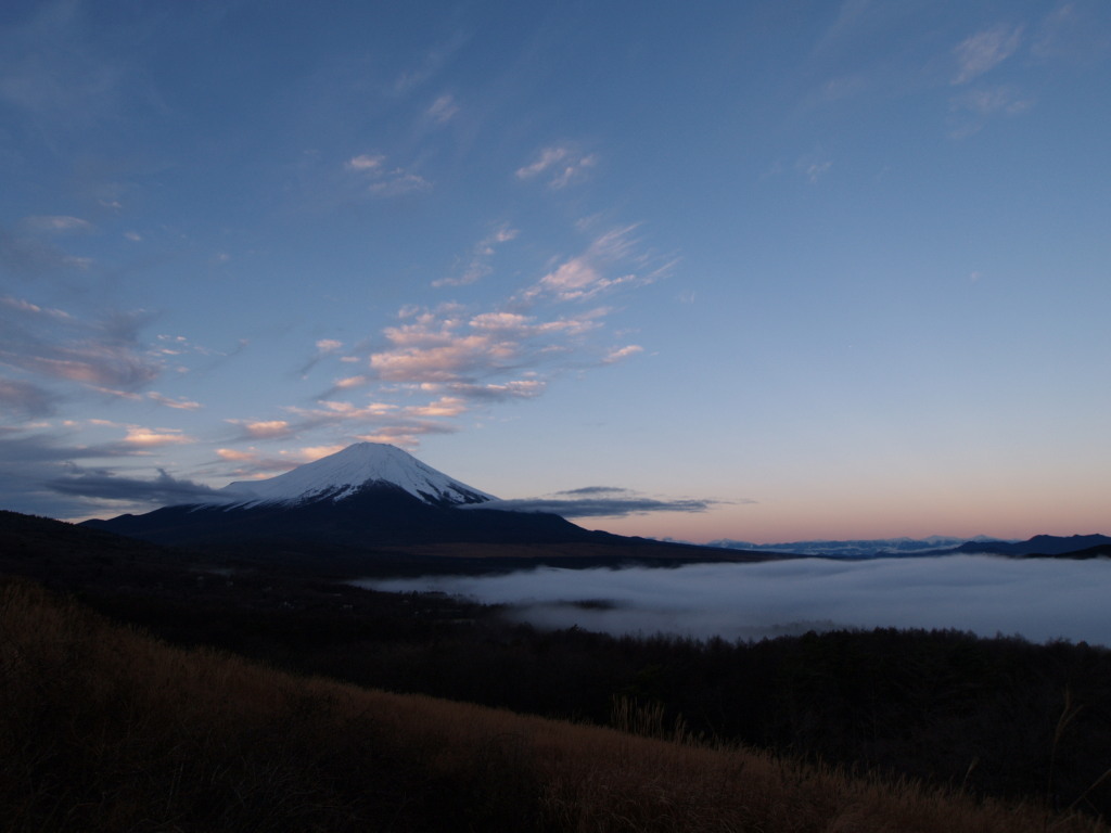 12/10 �R���΂���̒��Ă�