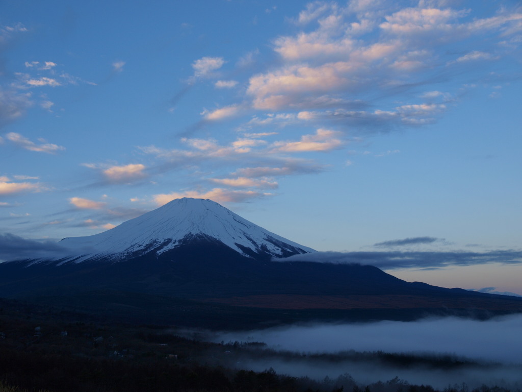 12/10 �R���΂���̒��Ă�(2)