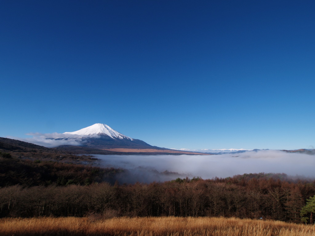 12/10 �_�C�ƕx�m�R