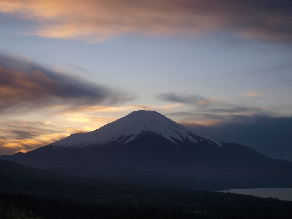 12/11 �[�Ă��ƕx�m�R